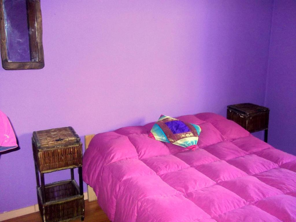 نزل El Bolsónفي Cabanas Pehuenia الغرفة الصورة
