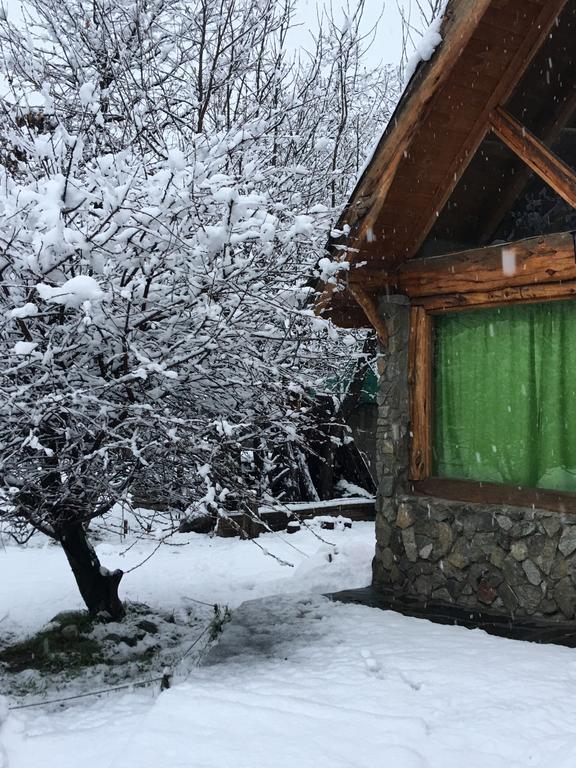 نزل El Bolsónفي Cabanas Pehuenia المظهر الخارجي الصورة