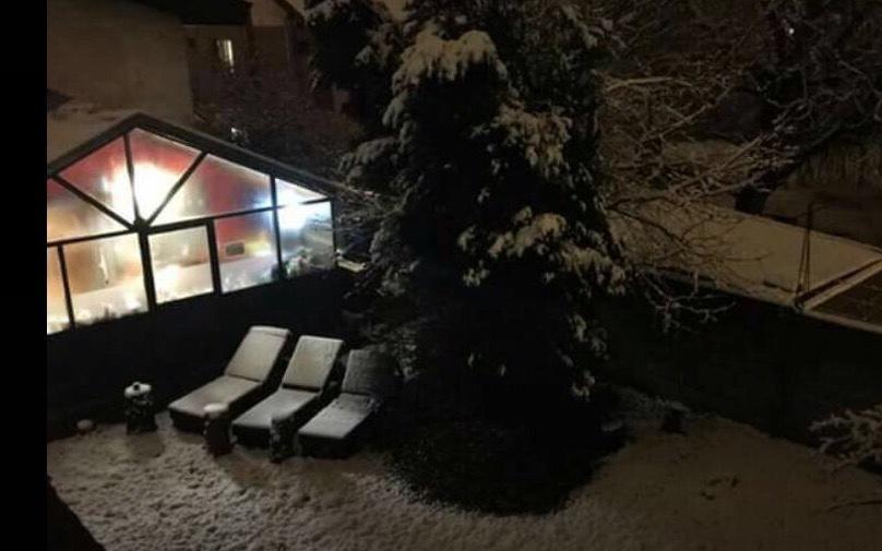 نزل El Bolsónفي Cabanas Pehuenia المظهر الخارجي الصورة